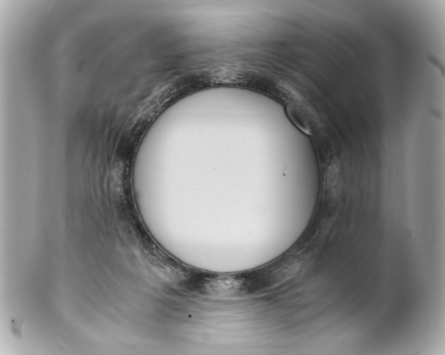 X0000101660217200807311442