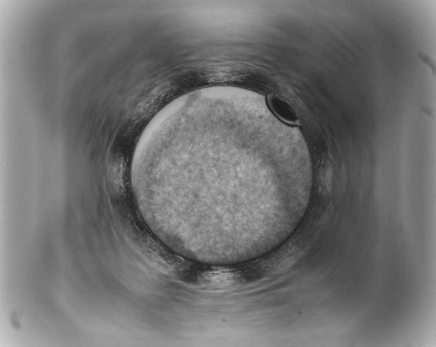 X0000101660219200807311442