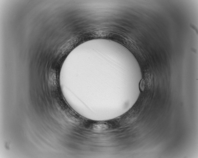 X0000101660220200807311442