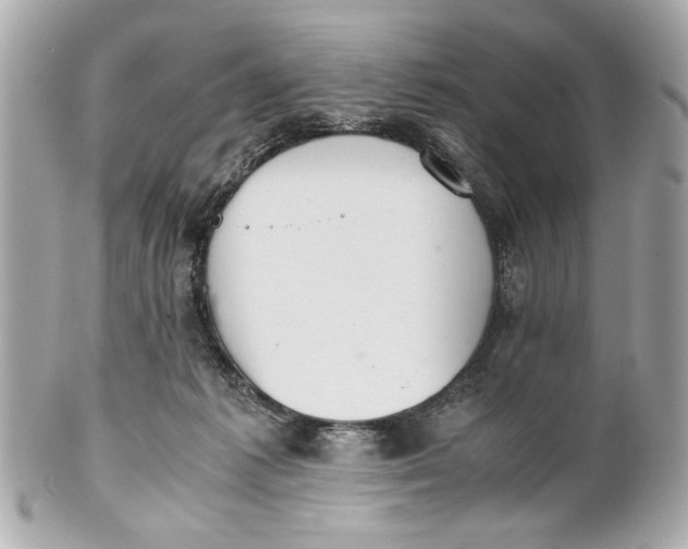 X0000101660221200807311442