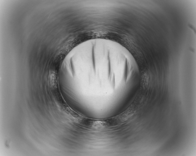 X0000101660222200807311442