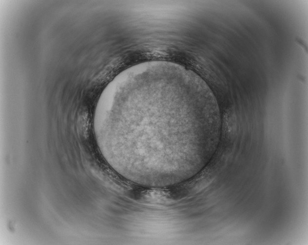 X0000101660223200807311442