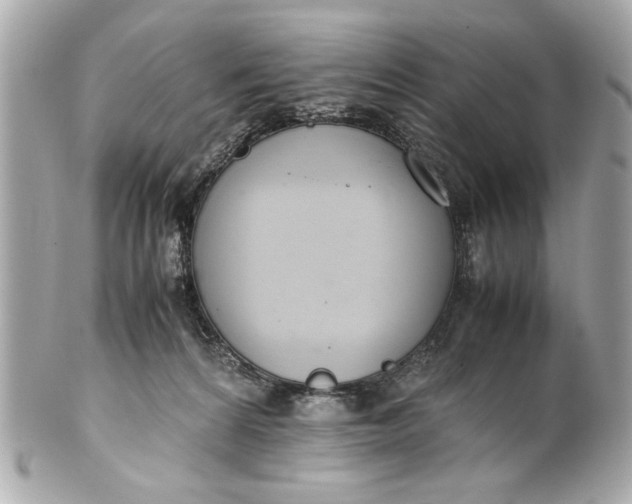 X0000101660224200807311442