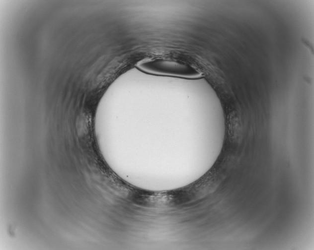 X0000101660225200807311442