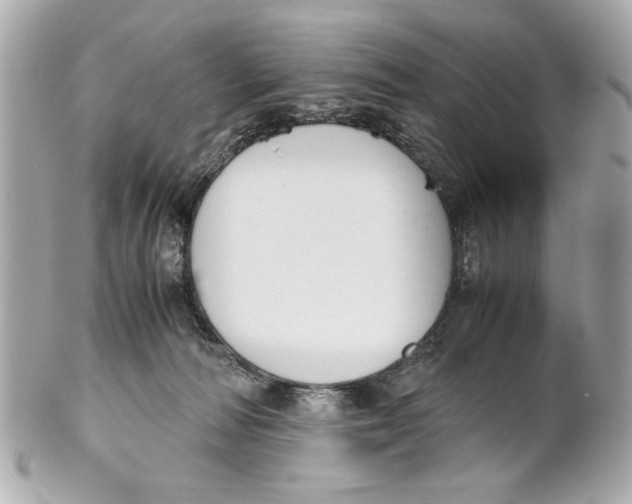 X0000101660226200807311442