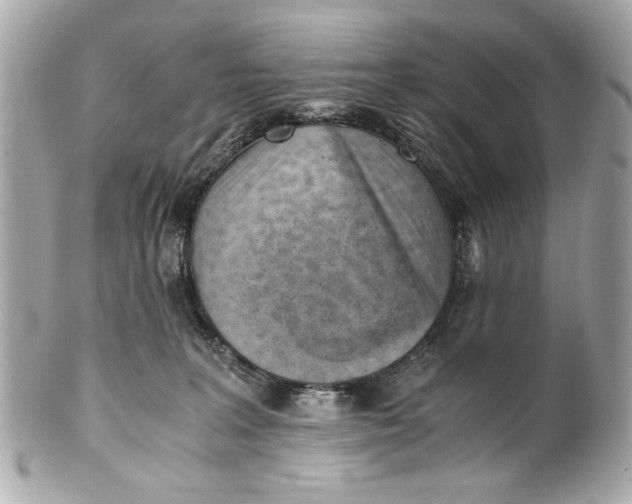 X0000101660227200807311442