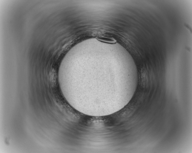 X0000101660228200807311442