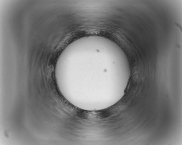 X0000101660229200807311442