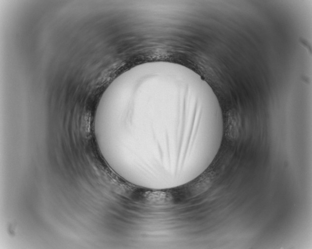 X0000101660230200807311442