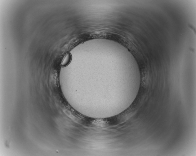 X0000101660231200807311442