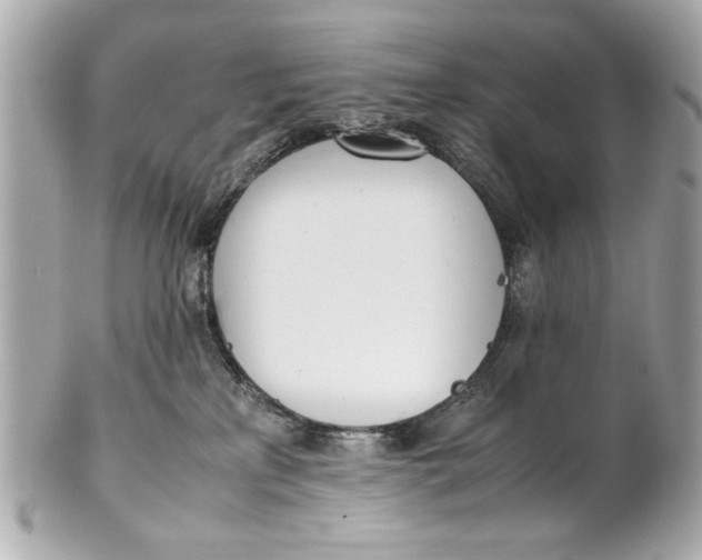 X0000101660233200807311442