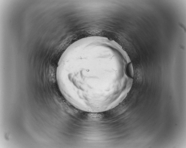 X0000101660234200807311442