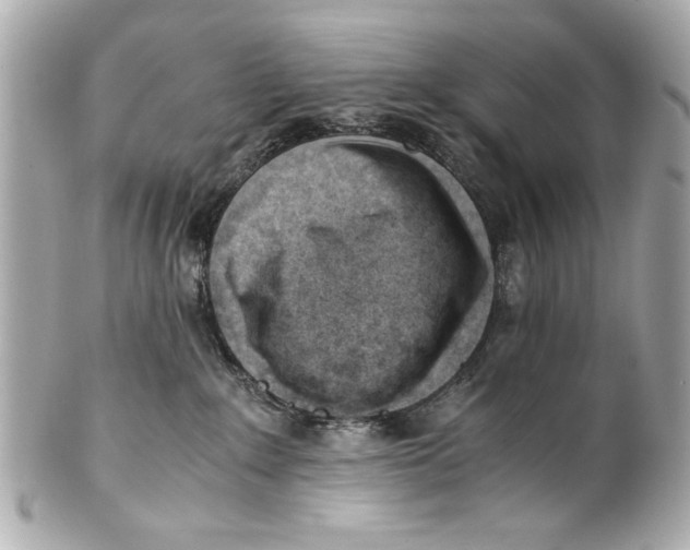 X0000101660235200807311442