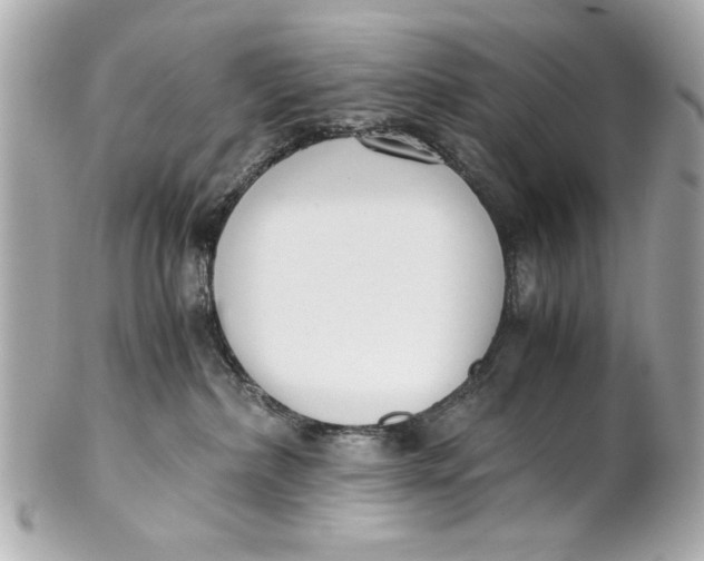 X0000101660236200807311442