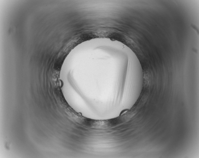 X0000101660237200807311442