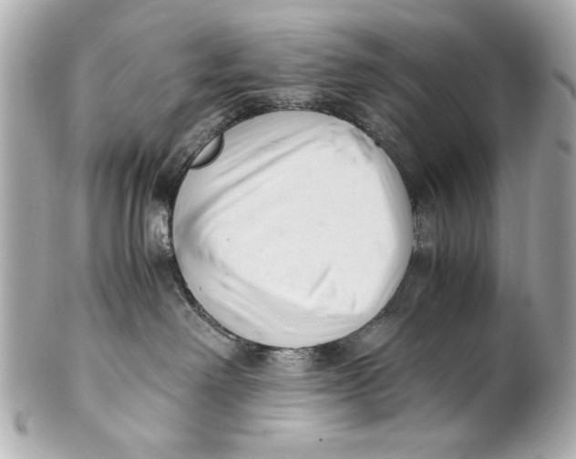 X0000101660238200807311442