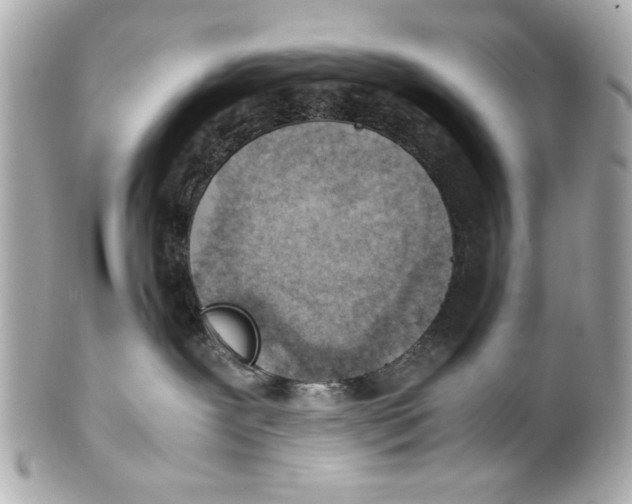 X0000101660239200807311442