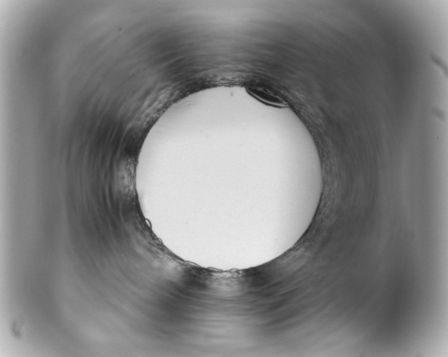 X0000101660240200807311442