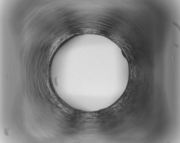 X0000101660241200807311441