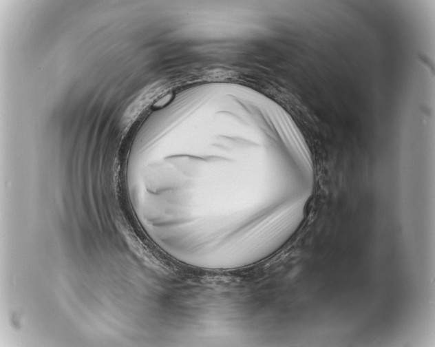 X0000101660242200807311441