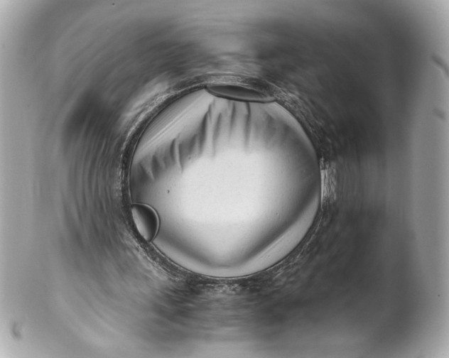 X0000101660243200807311441