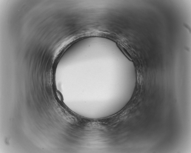 X0000101660244200807311441