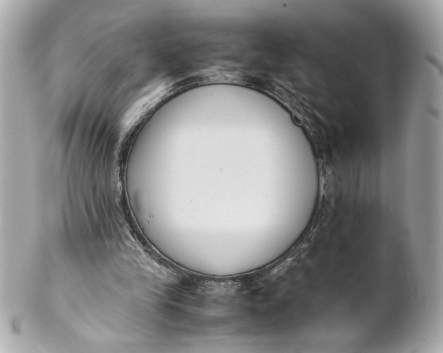 X0000101660245200807311441