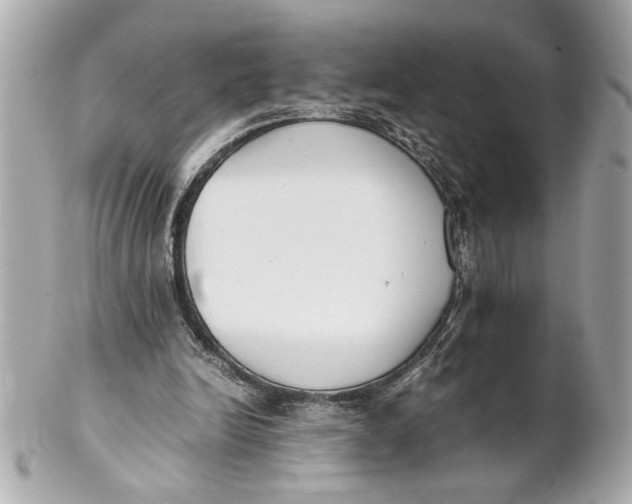 X0000101660246200807311441