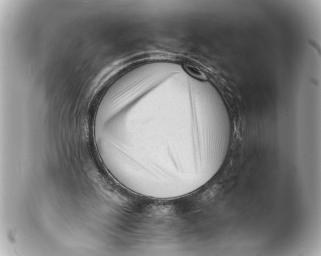 X0000101660247200807311441