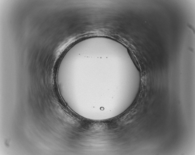 X0000101660248200807311441