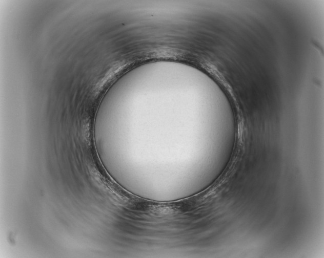 X0000101660249200807311441