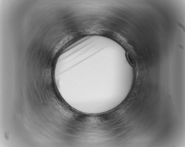 X0000101660250200807311441