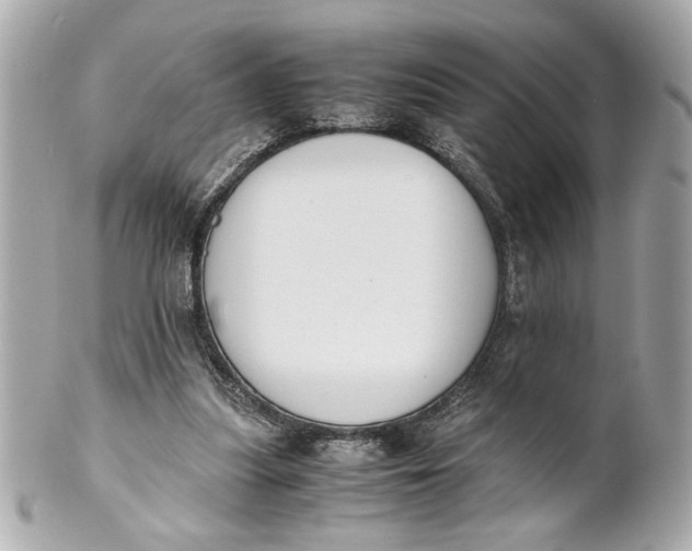 X0000101660251200807311441