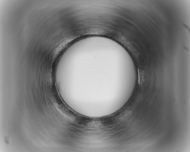 X0000101660252200807311441