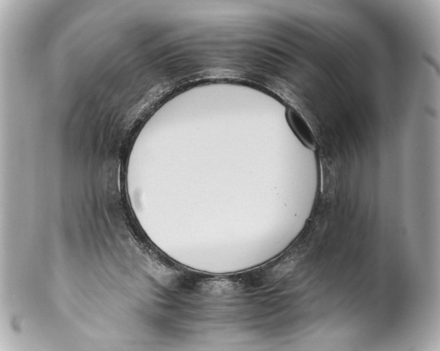 X0000101660253200807311441