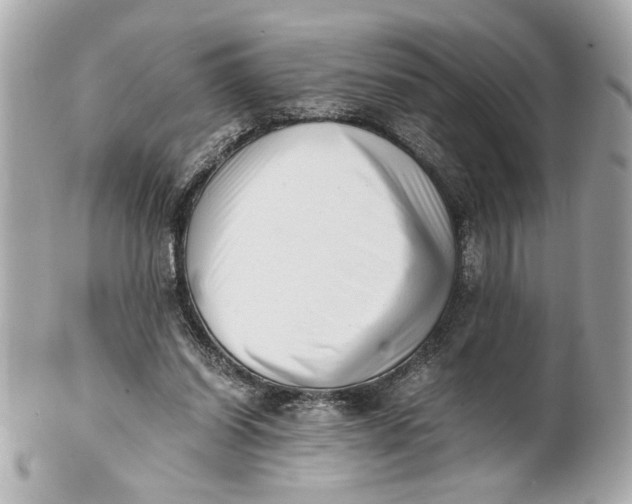 X0000101660254200807311441