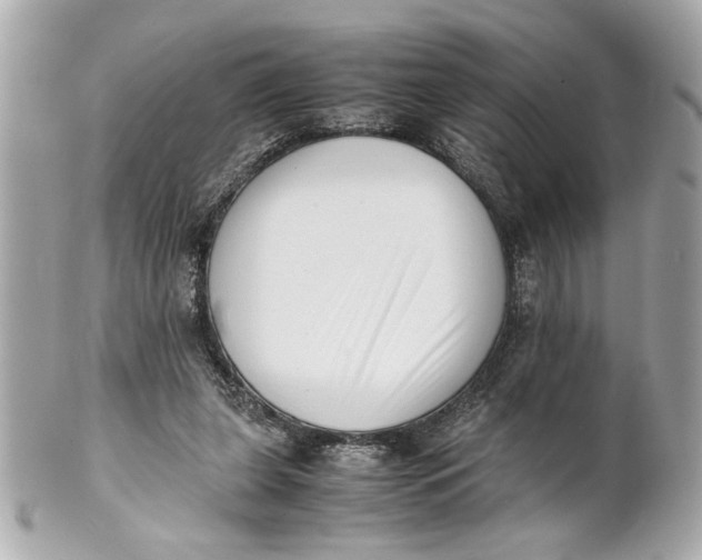 X0000101660255200807311441