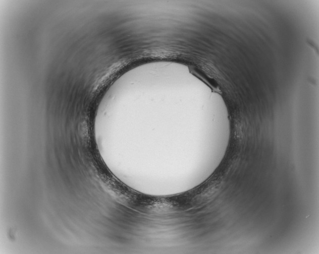 X0000101660256200807311441