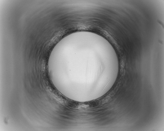 X0000101660257200807311442