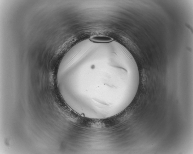 X0000101660258200807311442