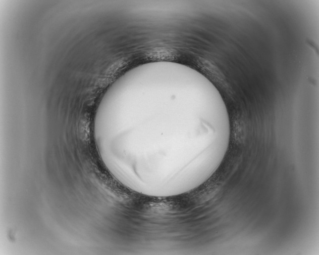 X0000101660259200807311442