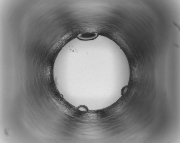 X0000101660260200807311442