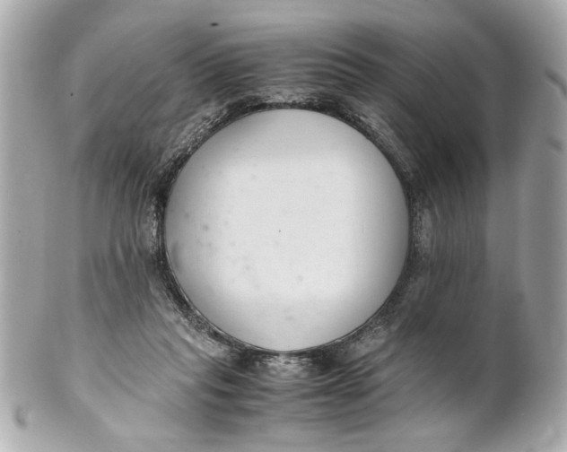 X0000101660261200807311442