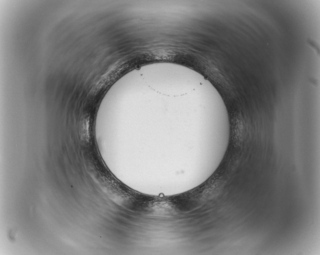 X0000101660262200807311442