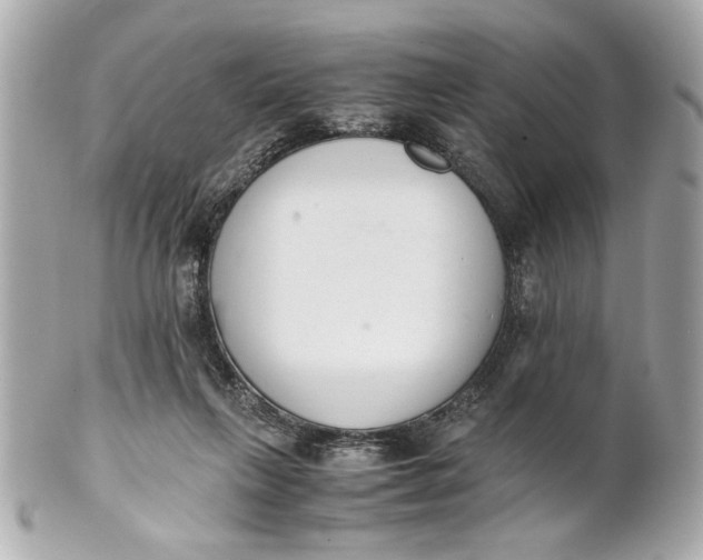 X0000101660263200807311442