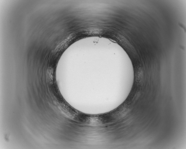 X0000101660264200807311442