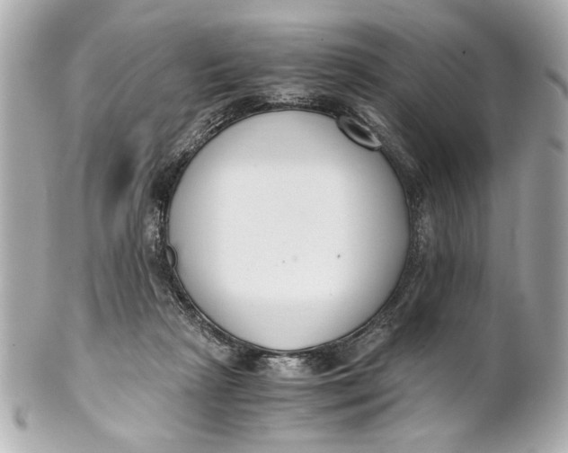 X0000101660265200807311442