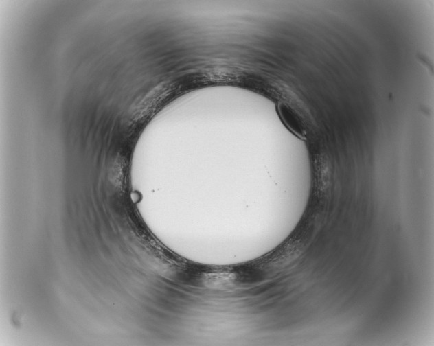 X0000101660266200807311442