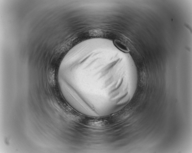 X0000101660267200807311442