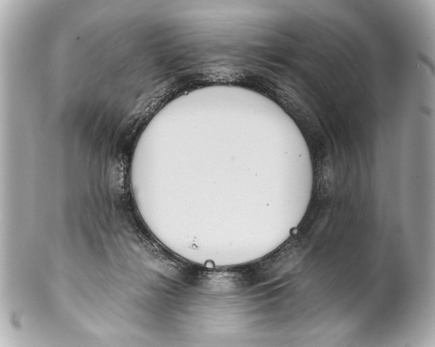 X0000101660268200807311442